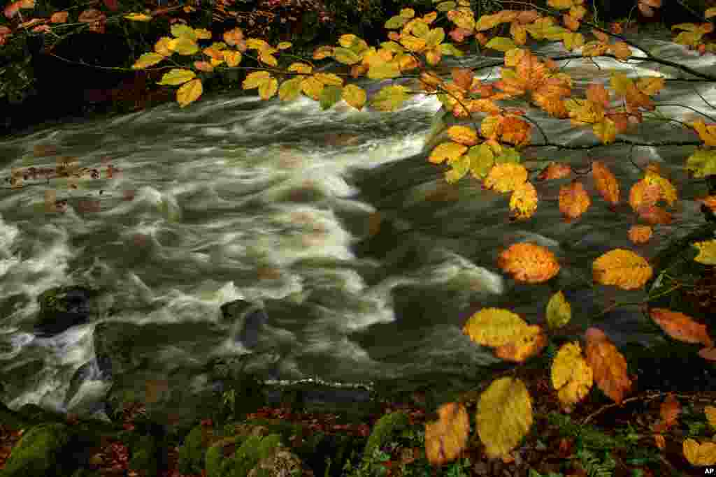 The Irati River flows rapidly after the rainfall during an autumn day, near the small Pyrenees town of Arce, Spain.