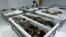 FILE - A display of Chinchorro mummies at the San Miguel Museum in Aricay, Chile, in 2005.
