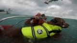 USA, Florida, U.S. Coast Guard Southeast saving a man and his dog (Foto: U.S. Coast Guard Southeast)