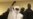 Former Chad Dictator Habre Sentenced to Life in Prison