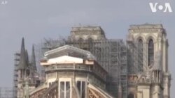 Փարիզի Աստվածամոր տաճարի վերականգնման աշխատանքները հրդեհից մեկ տարի անց դադարեցվել են՝ վիրուսի պատճառով