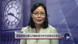 VOA连线: 英国首相出席G20峰会将与中方谈核项目争议...