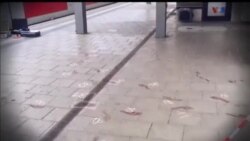 اخبار شامگاهی