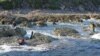 日本人登釣魚島，中國各地反日遊行