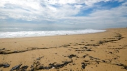 美國官方正在探查加州海岸石油洩漏原因