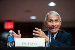 FILE - Director of the National Institute of Allergy and Infectious Diseases Dr. Anthony Fauci speaks during a Senate Health, Education, Labor and Pensions Committee hearing on Capitol Hill in Washington, June 30, 2020.