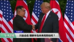专家视点 (何天睦):川金会后,朝鲜半岛未来局势如何?