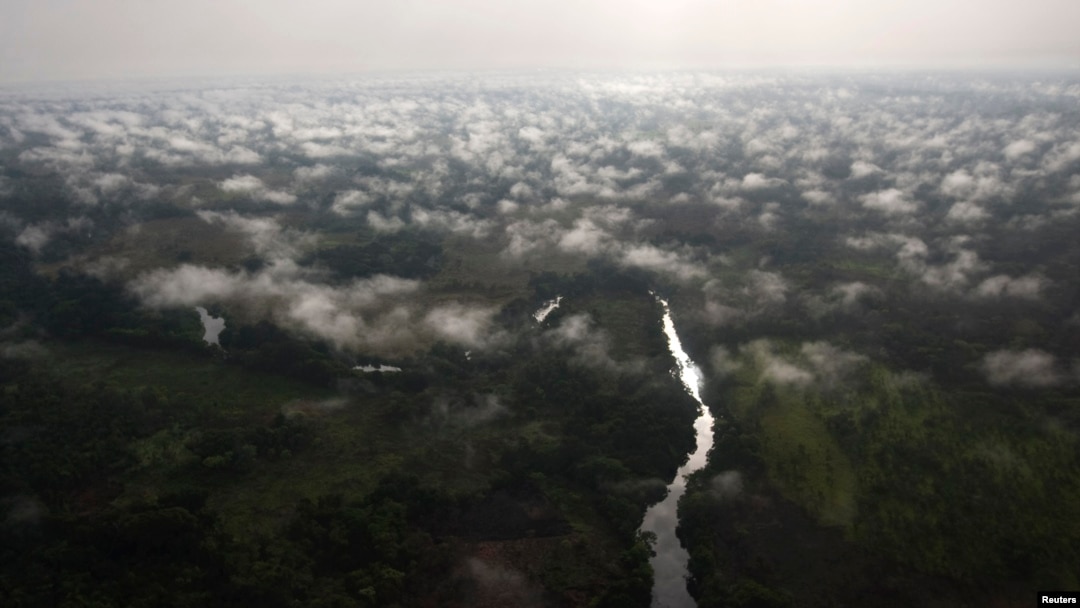 Hutan di wilayah Haute Uele, Kongo timur laut, dilihat dari udara. (Foto: Dok)