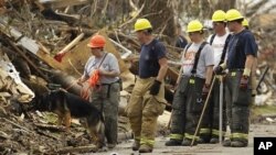 救援队员和搜寻狗5月28日在密苏里州乔普林市龙卷风灾区搜寻幸存者