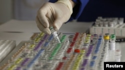 Human genetic material is stored at a laboratory in Munich, May 23, 2011.