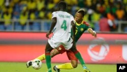 Tenin don farikolo ngnenanje kunnafoniw, sanfe celu ngongon dan koroceli