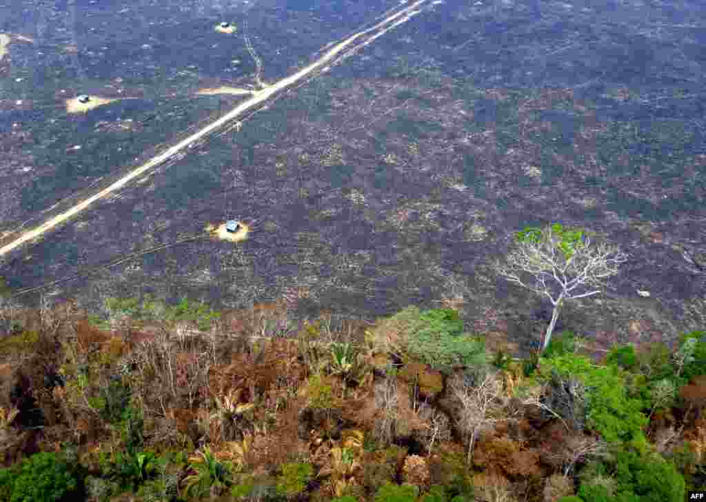 Aerial view of burnt areas of the Amazon rainforest, near Porto Velho, Rondonia state, Brazil, Aug. 24, 2019. 