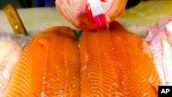 FILE - In this Apr. 25, 2003 file photo, fillets of farm-raised salmon are sprayed with water at a fish market in Portland, Maine. 