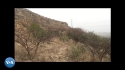 zመቐለ:ኣብ ምፍራይ ንህብን ምርባሕ መዓር ዝተዋፈረ መንእሰይ