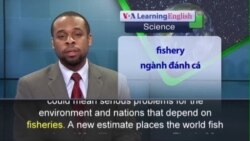 Phát âm chuẩn - Anh ngữ đặc biệt: Underreported Fishing (VOA)