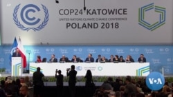 Climate Talks Open in Poland on Somber Note