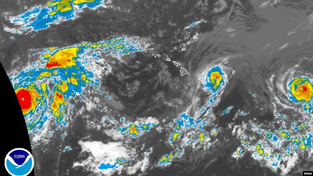 Foto satelit menunjukkan topan Iselle bergerak menuju Hawaii dengan kecepatan angin hampir 150 kilometer per jam (7/8). 