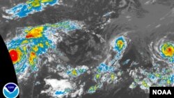 Foto satelit menunjukkan topan Iselle bergerak menuju Hawaii dengan kecepatan angin hampir 150 kilometer per jam (7/8). 