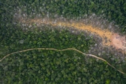 This April 3, 2019 photo shows the destruction of the jungle caused by illegal miners in Peru's Tambopata province.