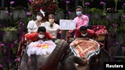 A couple receives marriage certificates from a provincial officer as they ride elephants during a Valentine's Day celebration at the Nong Nooch Tropical Garden in Chonburi province, Thailand, Feb. 14, 2021.