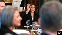 Vice President Kamala Harris gestures during a meeting with business CEOs about economic development in the Northern Triangle, from her ceremonial office on the White House complex, May 27, 2021.