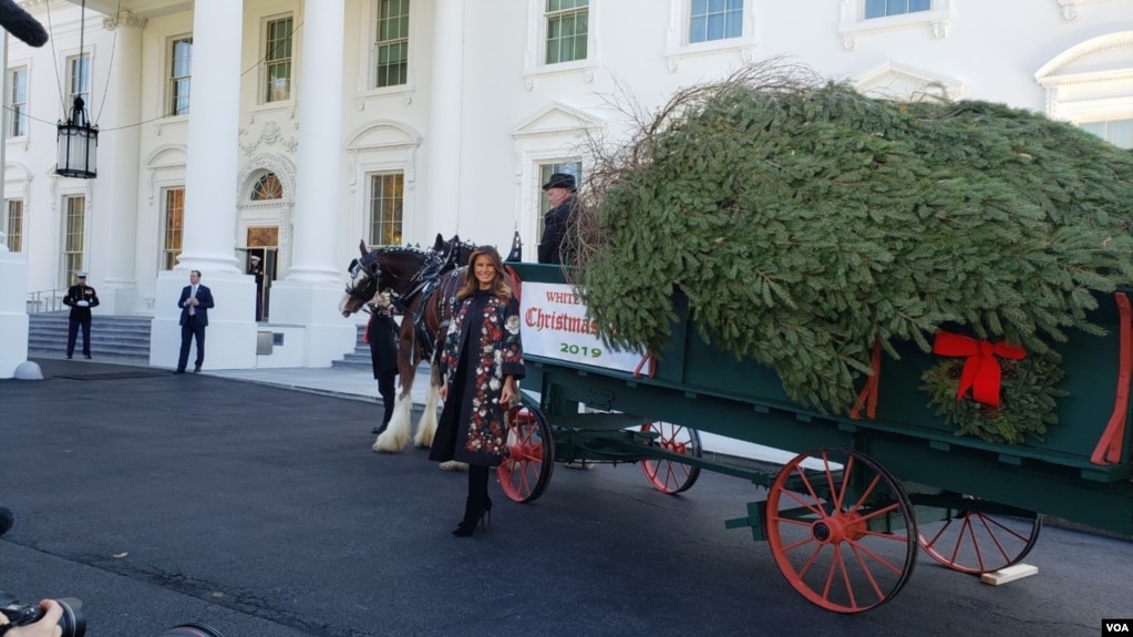 La primera dama Melania Trump posa el 25 de noviembre de 2019 con el árbol de Navidad que adornará el Salón Azul de la Casa Blanca.