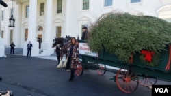 First Lady Melania Trump poses for a photo in front of the White House Christmas tree, after it arrives at the White House, Nov. 25, 2019. (Photo: Patsy Widakuswara / VOA) 