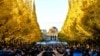 People take pictures of ginkgo trees in fall colors at the Meiji Shrine Outer Garden in Tokyo, Japan.