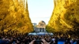 People take pictures of ginkgo trees in fall colors at the Meiji Shrine Outer Garden in Tokyo, Japan.