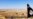 Vulnerabilities Exposed, Islamic State Evolving