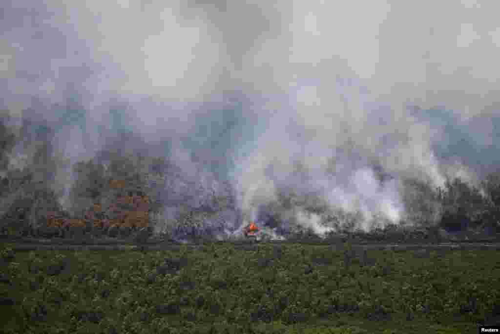 İndoneziya - Mərkəzi Kalimantan vilayətndə meşə yanğınları &nbsp;