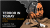 Terror in Tigray