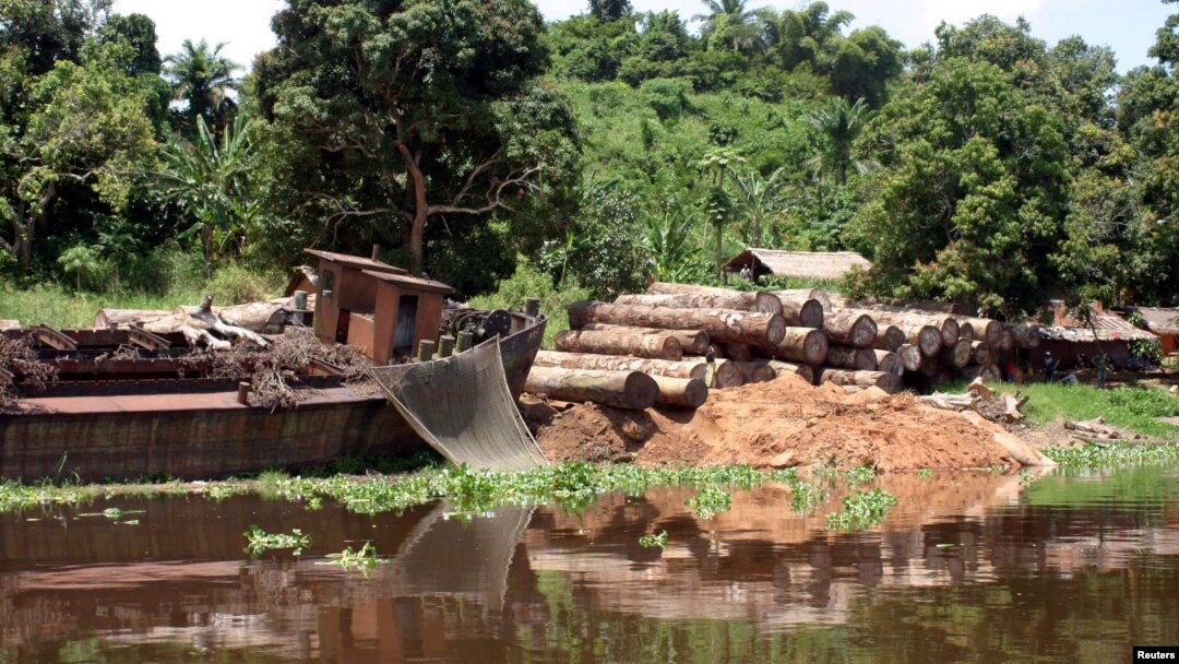 FILE - Logs lie next to a rusting barge on the banks of the Congo river, DRC.