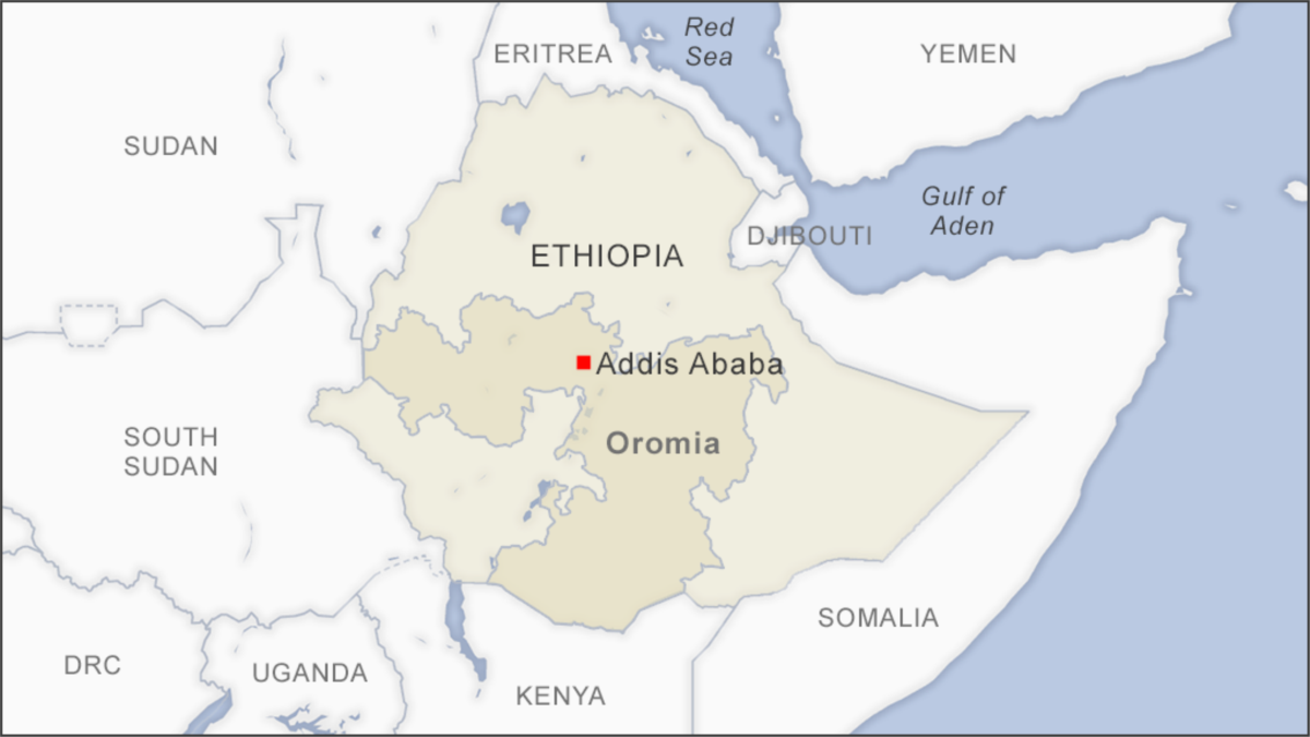 Ethiopia's Oromo Rebels in Tanzania for Peace Talks