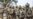 US Troops’ Arrival in Armenia for Training Riles Russia