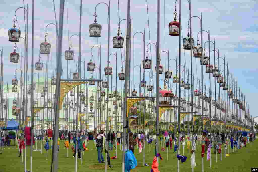 Birds sit in cages during a bird-singing competition in Thailand&#39;s southern province of Narathiwat.