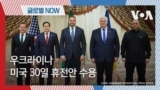 [글로벌 나우] 우크라이나, 미국 30일 휴전안 수용 