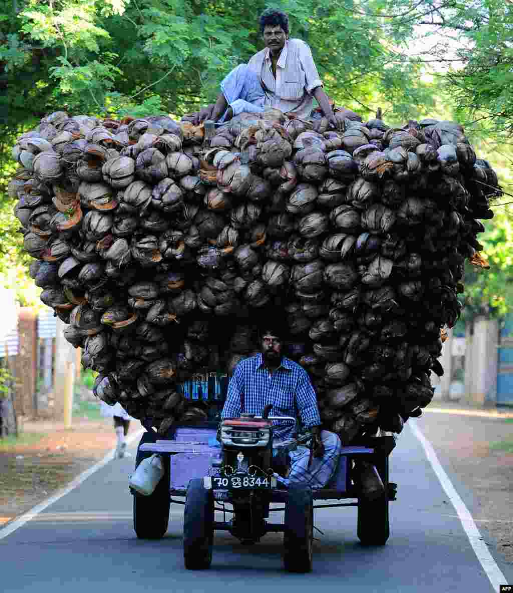 Nông dân người Tamil ở Srilanka chở vỏ dừa ở Jaffna, cách thủ đô Colombo 400 km về hướng bắc.