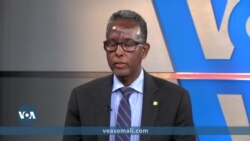 Wareysi: Safiirka Soomaaliya ee Maraykanka