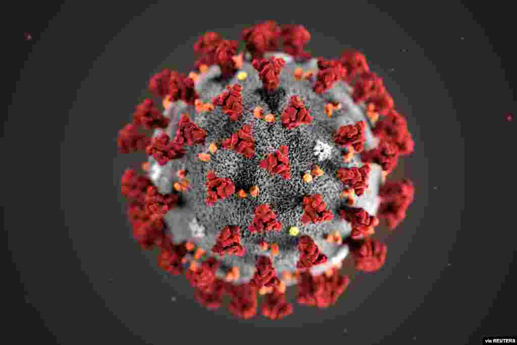 The ultrastructural morphology exhibited by the 2019 Novel Coronavirus, which was identified as the cause of an outbreak of respiratory illness first detected in Wuhan, China, is seen in an illustration released by CDC in Atlanta, Georgia, Jan. 29, 2020.