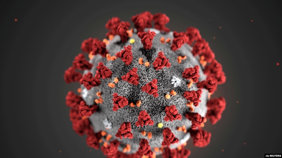 The ultrastructural morphology exhibited by the 2019 Novel Coronavirus, which was identified as the cause of an outbreak of respiratory illness first detected in Wuhan, China, is seen in an illustration released by CDC in Atlanta, Georgia, Jan. 29, 2020.