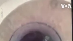 ԱՌԱՆՑ ՄԵԿՆԱԲԱՆՈՒԹՅԱՆ. Քուինզլենդ, Ավստրալիա. Հեղեղներից փրկված տղամարդը