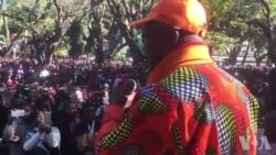 Nhengo yeMDC Alliance, VaTendai Biti, Vachitaura muHarare