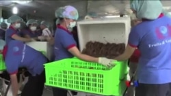 အမေရိကန် ဗီယက်နမ် ဆက်ဆံရေး နှစ် ၂၀ ပြည့်