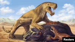 تصویر نقاشی از آنچه «اینوسترانسویا» یک پستاندار با دندان‌های خنجر مانند به اندازه دندان‌های ببر احتمالاً به آن شبیه بوده است.