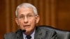 Fauci recovering at home after being hospitalized for West Nile virus