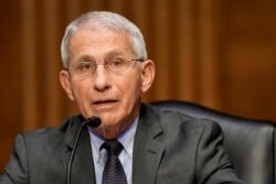FILE - Dr. Anthony Fauci, director of the National Institute of Allergy and Infectious Diseases, speaks during a Senate Health, Education, Labor and Pensions Committee, May 11, 2021. (Greg Nash/Pool via AP)