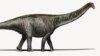 Brontosaurus' Name, Once Discarded, Is Back