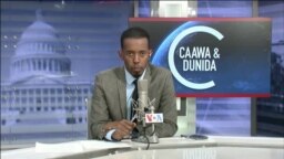 Caawa iyo Dunida