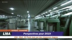 Afrique: perspectives pour 2019